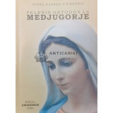 Pelerin ortodox la Medjugorje - Aurel Hasnes Ciurdariu ($P67)