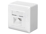 Soclu de perete RJ45 x2 Cat 6