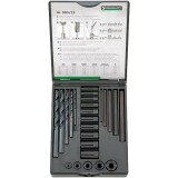 Stahlwhille 905/25 - Set extractoare suruburi rupte 25 bucati