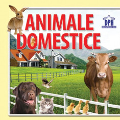 Cărți pliate - Animale domestice