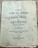 U. CRT Interbelica - Clipe de odihna in calea vietii - Solca - Bucovina - Suceava
