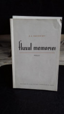 FLUXUL MEMORIEI - A.E. BACONSKY foto