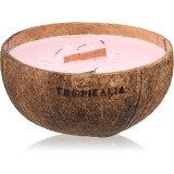 Tropicandle Frozen Cranberry lum&acirc;nare parfumată cu fitil din lemn 350 ml