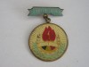 QW9 J 72 - Insigna - tematica pionieri - Pionier de frunte - diametrul 3,2 mm, Romania de la 1950