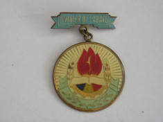 QW9 J 71 - Insigna - tematica pionieri - Pionier de frunte - diametrul 2,8 mm