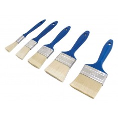 Set pensule universale - 5buc
