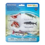 Set figurine - Ciclul vietii la Somon | Safari
