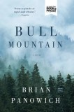 Bull Mountain - Roman Southern Fiction Crime Saga Familie Vengeanta. Castigator ITW Thriller Award Best First Novel