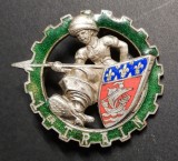 Insigna Regimentala Escadrila 1 Trenuri Franța Drago H 582, Europa