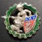Insigna Regimentala Escadrila 1 Trenuri Franța Drago H 582