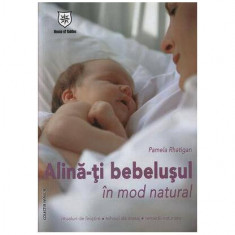 Alină-ţi bebeluşul în mod natural - Paperback brosat - Pamela Rhatigan - House of Guides