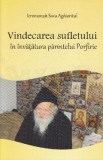 Vindecarea sufletului in invatatura Parintelui Porfirie - Sava Aghioritul