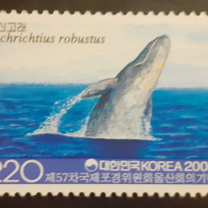 Korea 2005 fauna marina,serie 1v.. Mnh,