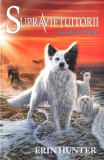 Lacul fara sfarsit | Erin Hunter, All