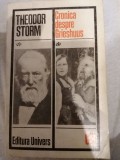 Theodor Storm - Cronica despre Grieshuus