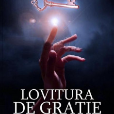 Lovitura De Gratie, David Baldacci - Editura RAO Books