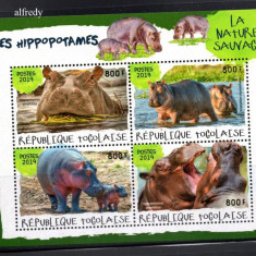 TOGO 2019, Fauna, serie neuzata, MNH