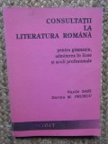 Vasile Sari - Consultatii la literatura romana