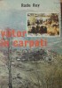 RADU RAY - VIITOR IN CARPATI (1979)