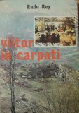 RADU RAY - VIITOR IN CARPATI (1979)