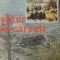 RADU RAY - VIITOR IN CARPATI (1979)