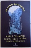 MARILE CALAMITATI DIN ISTORIA ORASULUI - CUTREMURE ,INCENDII , INUNDATII , EPIDEMII de DAN - SILVIU BOERESCU , 2017