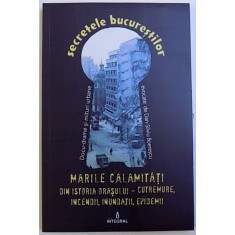 MARILE CALAMITATI DIN ISTORIA ORASULUI - CUTREMURE ,INCENDII , INUNDATII , EPIDEMII de DAN - SILVIU BOERESCU , 2017