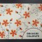 BRODERII COLORATE - Maria Paraschivoiu