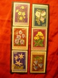 Serie Romania 1979 - Flora - Flori protejate, 6 valori