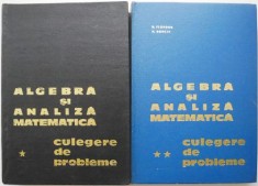 Algebra si analiza matematica. Culegere de probleme (2 volume) &ndash; N. Donciu