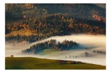 Tablou Canvas Peisaj Toamnă Pădure Culori Natură Mister, 39 x 26 cm, CMCLASS