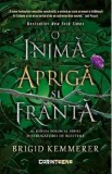 O inima apriga si franta. Seria Distrugatorii de blesteme Vol.2 - Brigid Kemmerer, 2022