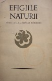 Petre Stoica - Efigiile naturii (Editia: 1971)