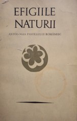 Petre Stoica - Efigiile naturii (Editia: 1971) foto