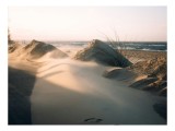Tablou Canvas, "V&acirc;ntul model&acirc;nd dune la apus", V&acirc;nt, Nisip, Dune, Apus, Mare, Valuri, Vegetație, Urme, Cer, Lumină, 39 x 26 cm, CMCLASS