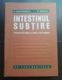 Intestinul subțire. Fiziopatologioe, clinică, tratament - B. Gheorghescu, D. Rebedea