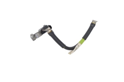 Borna cablu baterie TESLA MODEL S 2018 OEM: 1032275-00-C 20813269 foto