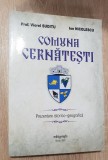 Comuna Cernătești. Prezentare istorico-geografică - Viorel Suditu, Ion Nicolescu, 2022