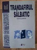 Trandafirul salbatic Opera poetica- Ioanid Romanescu