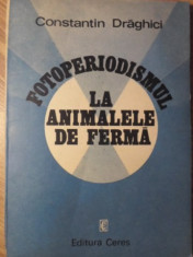 FOTOPERIODISMUL LA ANIMALELE DE FERMA - CONSTANTIN DRAGHICI foto