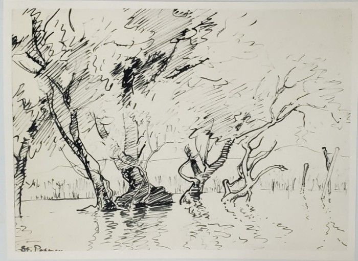 Stefan Popescu - In Balta
