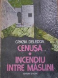 CENUSA. INCENDIU INTRE MASLINI-GRAZIA DELEDDA-265072