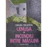 CENUSA. INCENDIU INTRE MASLINI-GRAZIA DELEDDA-265072