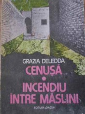 CENUSA. INCENDIU INTRE MASLINI-GRAZIA DELEDDA-265072 foto