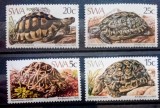 Africa de Sud-Vest 1982 broaște țestoase fauna animale serie 4v nestampilat