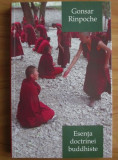 Gonsar Rinpoche - Esența doctrinei buddhiste. Calea spre trezie