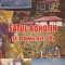 SATUL BOHOTIN SI OAMENII SAI-GHEORGHE LUCHIAN D&#039;AQUILA-246614