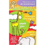 Antonimele - Prima mea carte de invatatura | Lucia Turcanu