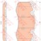 Set placute frana,frana disc LAND ROVER RANGE ROVER IV (LG) (2012 - 2016) TRW GDB1834