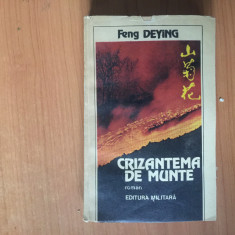 e3 Crizantema de munte - Feng Deying